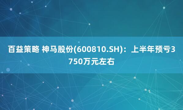 百益策略 神马股份(600810.SH)：上半年预亏3750万元左右