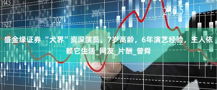 盛金缘证券 “犬界”资深演员，7岁高龄，6年演艺经验，主人依赖它生活_网友_片酬_曾舜